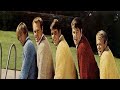 The Beach Boys - Help Me, Rhonda (Alternate Single Mix) Wah-Wah Vocals