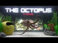 Showing a Blue-Ringed Octopus to a Common Octopus - Octopus TV Room - Episode 3