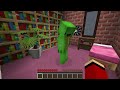 Who KIDNAPPED JJ ? Mikey Lost Friend ! - Minecraft (Maizen)