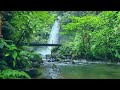 Amazing Waterfall with Beautiful Natural sounds - Very good for Meditation, Relaxation, Sleep, Study