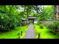 🇯🇵4K Kyoto  best garden 30  京都の日本庭園ベスト30選 Japan 2021 京都観光 旅行 龍安寺 銀閣寺 智積院 永観堂 金閣寺 三千院 建仁寺 無鄰菴 南禅寺 天龍寺