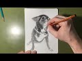 This is Wawa (Timelapse drawing)