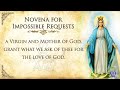 🙏 Echoes of Hope: Novena for Impossible Requests