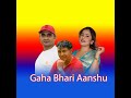Gaha Bhari Aanshu