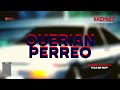 Querian Perreo Mix 2.0 (Feid, Bad Bunny, Rauw Alejandro, Mora, Etc)