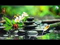 Full Nature Sound Brain Therapy, Sleep Relaxation, Insomnia, Difficulty Focusing and Stress