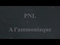 PNL - A l'Ammoniaque [INSTRUMENTAL remake sample]