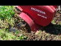 Reclaiming overgrown garden with a Honda