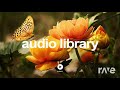 Library Hours - Tyler Durrdurdur & Dark Cloak | RaveDJ