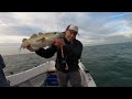 Sea Fishing UK - Inshore Reef and Wreck Fishing For Cod, Pollock and Bass