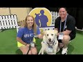 Team USA Swimming's honorary member, U.S. Swim Trials therapy dog Izzo dies