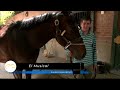 Turf: Gran Premio Jockey Club en el Hipódromo de San Isidro