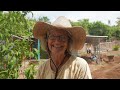 Growing POUNDS of Food EVERY WEEK for an Entire Community | Full Tour in Our Eco Village, Costa Rica