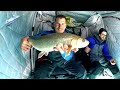 Arctic Char in the Yukon