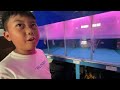 Habibie Singgah ke Toko Aquarium dan Ikan