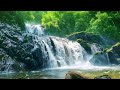 Relaxing Flowing Water Sounds: Relaxing Nature Sounds | Beautiful Waterfall Video