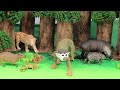 Meet the Amazon Jungle Animals | DIY Diorama