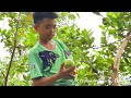 Orphan boy efforts - Plant cassava, harvest banana flowers to sell for food