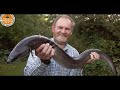 10lb + Eel | Steve Pitts | Specimen Eel Fishing