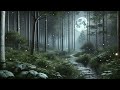 Moonlit Nights in the Woods | Background Ambient Music for Work, Study, Chill