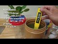 DIY : Hydroponics - Understanding EC, pH. Simple Lettuce Nutrient Solution and Measurements