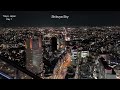 Tokyo Japan Vlog Day 1 - Akasaka, Shinjuku, and Shibuya