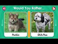 🐶 Would You Rather? Dogs Edition 🐕