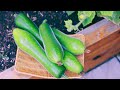 Summer Harvest | 8 Vegetable Gardening Tips for Beginners | Pro Tip Included | Grow Our Own Food