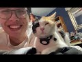 VLOG - Love Song Trivia, Korean Food, and Hell Week Update!