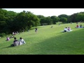 A walk through Meiji Jingu (Meiji Shrine)