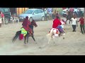 ताकी THE STUNNING TAKKI AGAIN IN BALOTRA TILWARA HORSE FAIR