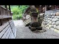 【珍しい、川から参道が続く神社　洲原神社】　岐阜県美濃市　2024年7月17日（水）　　Gifu-Japan
