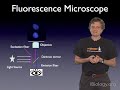 Microscopy: Introduction to Fluorescence Microscopy (Nico Stuurman)