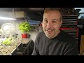5 Biggest Mistakes Made When Starting Seeds Indoors