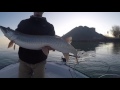 Catching Muskies in Late Fall