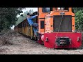 20240101-虎尾糖廠的德馬小火車返回經過畜殖場站前