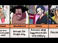 One Piece: Dreams and Ambitions of the Characters