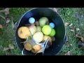 recogedor manual castañas, nueces, manzanas, pelotas golfe, tenis, etc