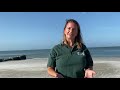 Studying How the Beach Changes at Madeira Beach, Florida