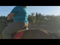 Michelle and Ruby Dressage Equitation 6/29/20