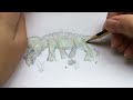 Drawing a triceratops