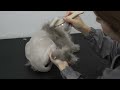 One gorgeous Himalayan cat