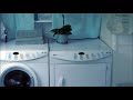 Ambient Sounds: [48min] Washing Machine+Shower+Rain