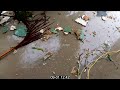 Hurricane Dorian (2019): Category 5 footage (185mph/295kmh+), Marsh Harbour, Abaco, Bahamas