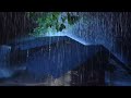 Heavy Rain on a Tin Roof for Sleeping • Fall Asleep to the Rhythm of Rain  And Thunder Sound