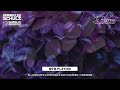 Markus Schulz - In Bloom 2023 (Vocal Trance Mix)