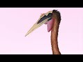 10 Largest Flying Prehistoric Animals