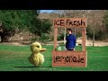 New Duck Song video! Live action: The Duck Song IRL (In Real Life).