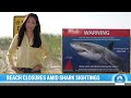 More beaches forced to close amid new shark sightings