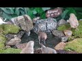 Cat TV | Dog TV! 4HRS of Soothing Birdbath with Birds Chirping for Separation Anxiety, No Loop! A155